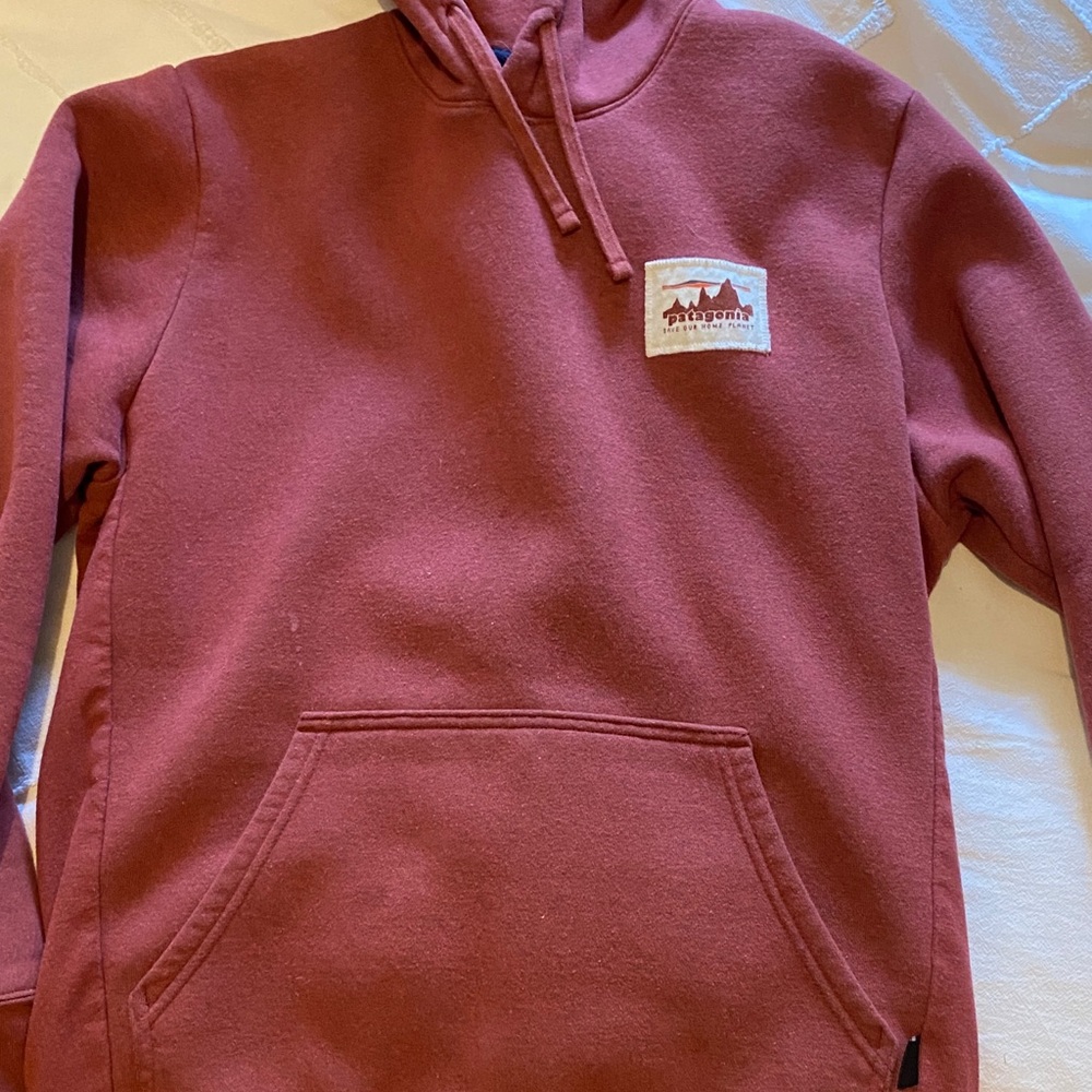Patagonia hooded sweatshirt